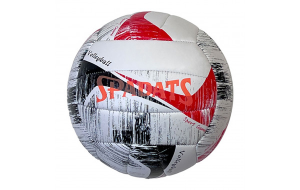 Мяч волейбольный Sportex E39980 р.5 600_380