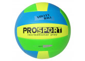 Мяч волейбольный Sportex E40006-2 р.5