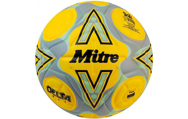 Мяч футбольный Mitre Delta One 24, FIFA PRO 5-B01787C60 р.5 600_380