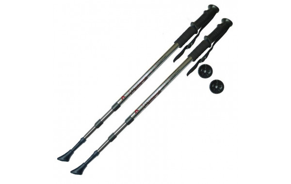 Палки для скандинавской ходьбы телескопическая, 3-х секционная Sportex F18434 серебро 600_380