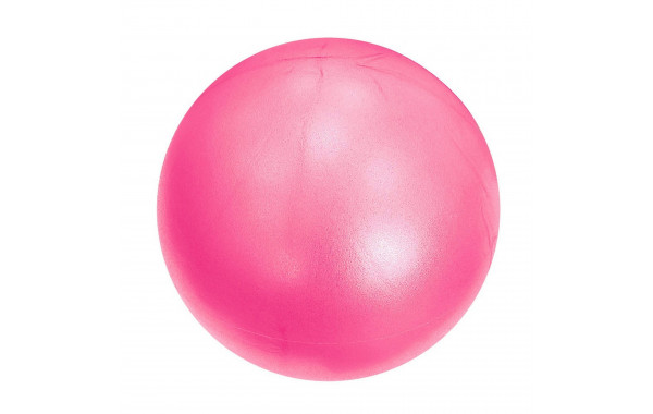 Мяч для пилатеса d25 см Sportex E39138 розовый 600_380