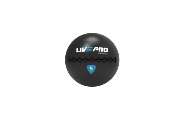 Медбол 5кг Live Pro Wall Ball PRO LP8103-05 600_380
