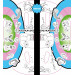 Шлем защитный подростковый Atemi размер окруж (52-54 см), М (6-12 лет) AKH06GM аквапринт Зверушки 75_75