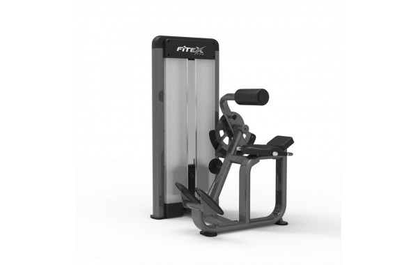 Разгибатель спины Fitex Pro FTX-61F17 600_380